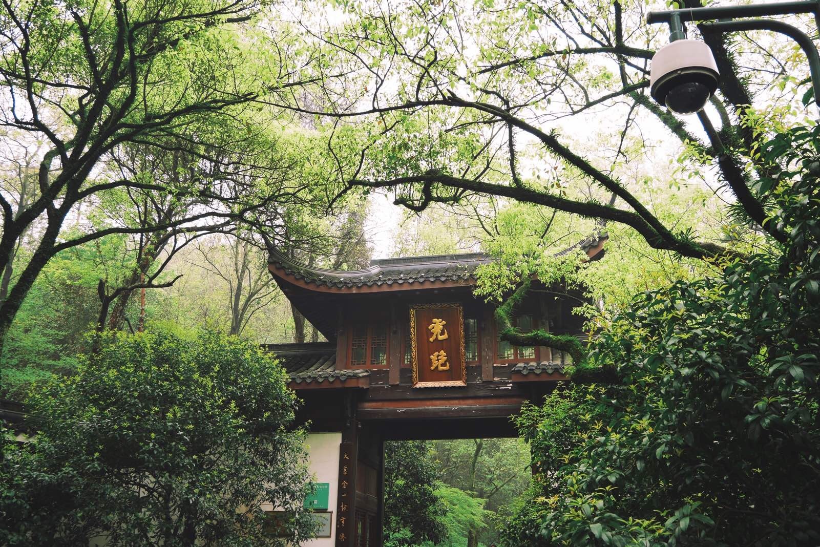 1536220317116177.jpg 4.jpg